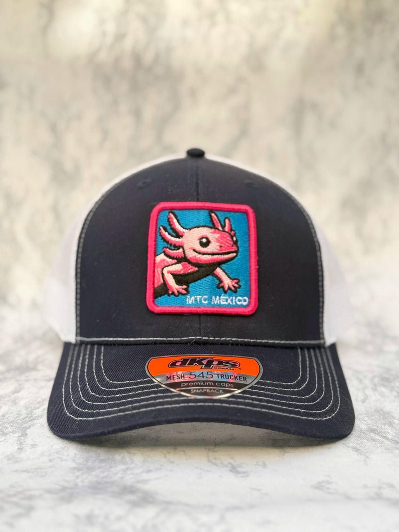 Gorra Axolote t100